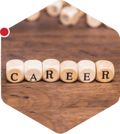 Career